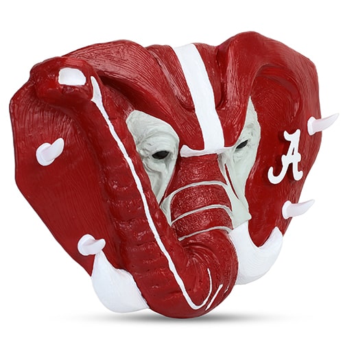 product-photos-for-amazon